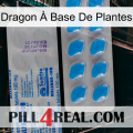 Dragon À Base De Plantes new15